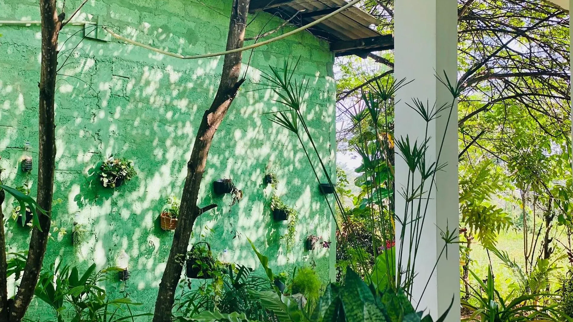 Dimuthu Green Villa Sigiriya Guest house