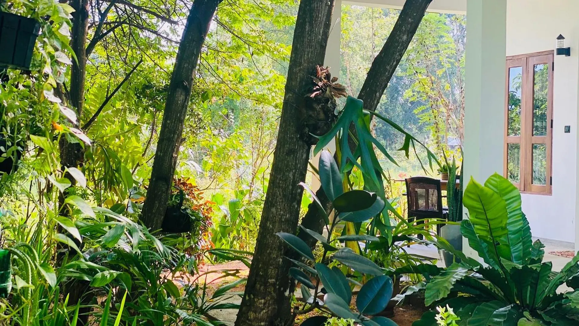 Guest house Dimuthu Green Villa Sigiriya Sri Lanka