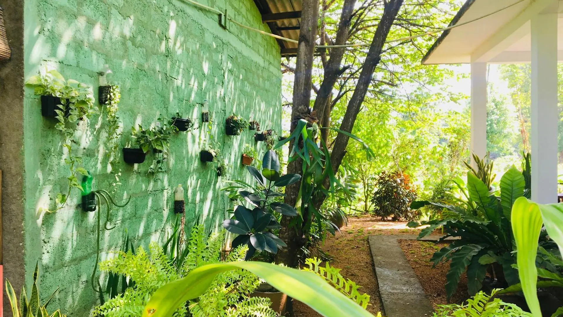 Dimuthu Green Villa Sigiriya 0*,