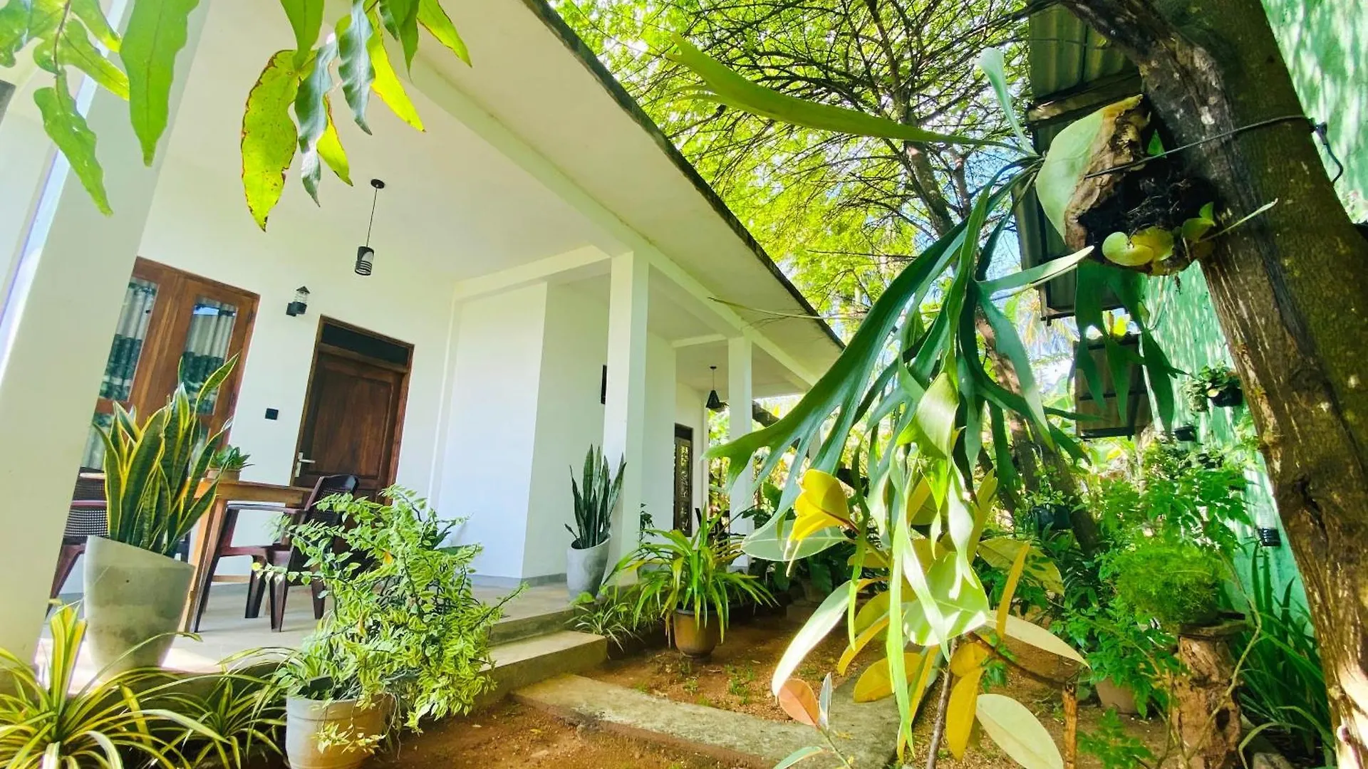 Dimuthu Green Villa Sigiriya Guest house