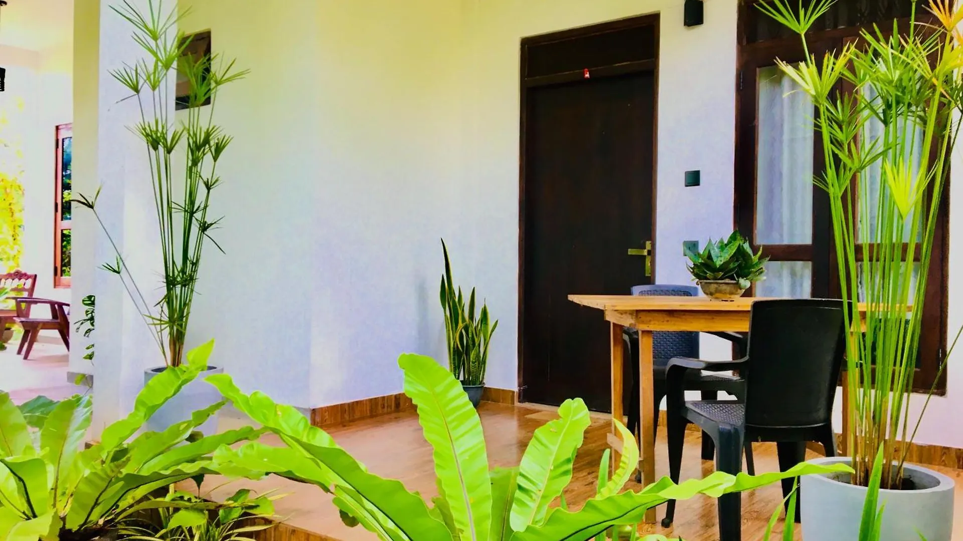 Guest house Dimuthu Green Villa Sigiriya Sri Lanka