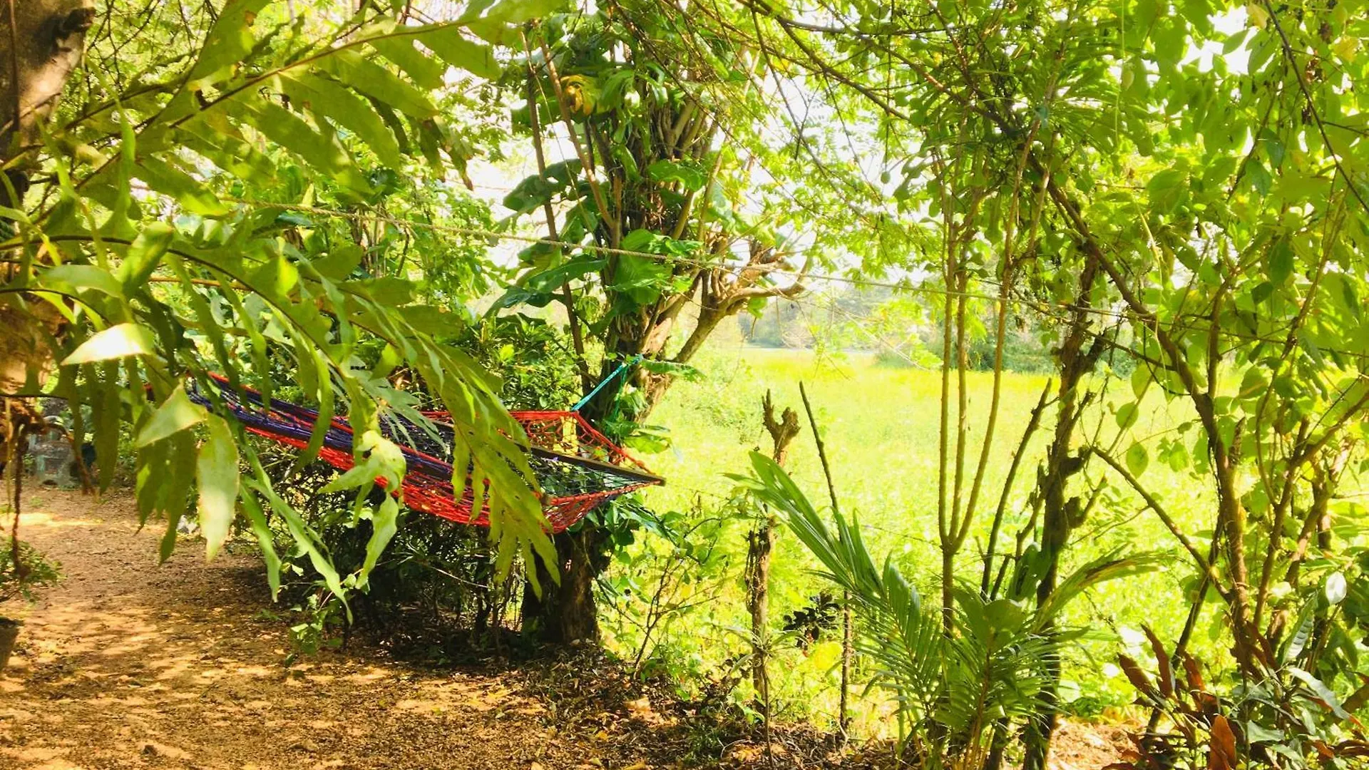 Guest house Dimuthu Green Villa Sigiriya